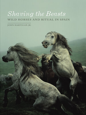 cover image of Shaving the Beasts
